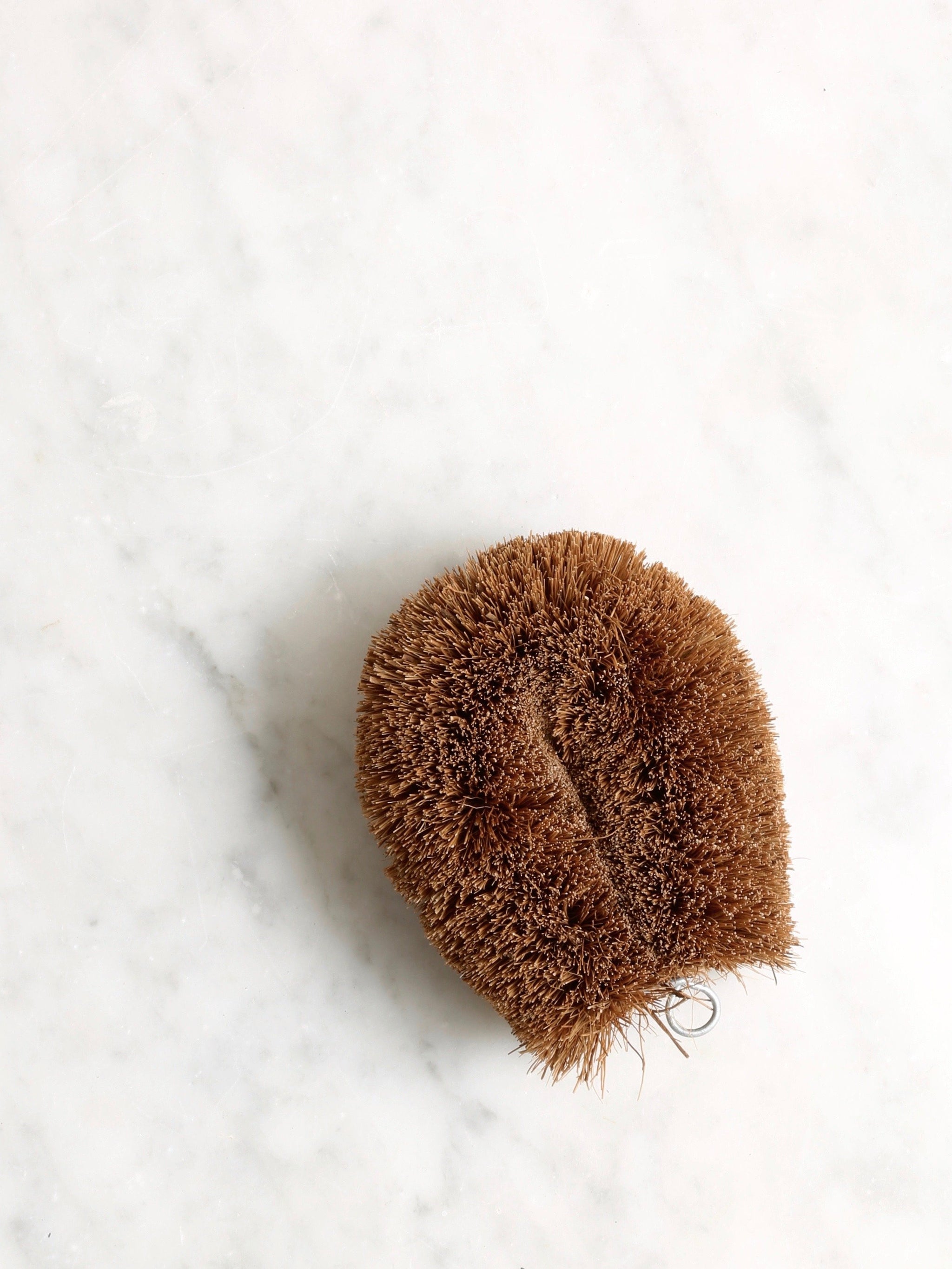 Natural Bristle Vegetable Brush