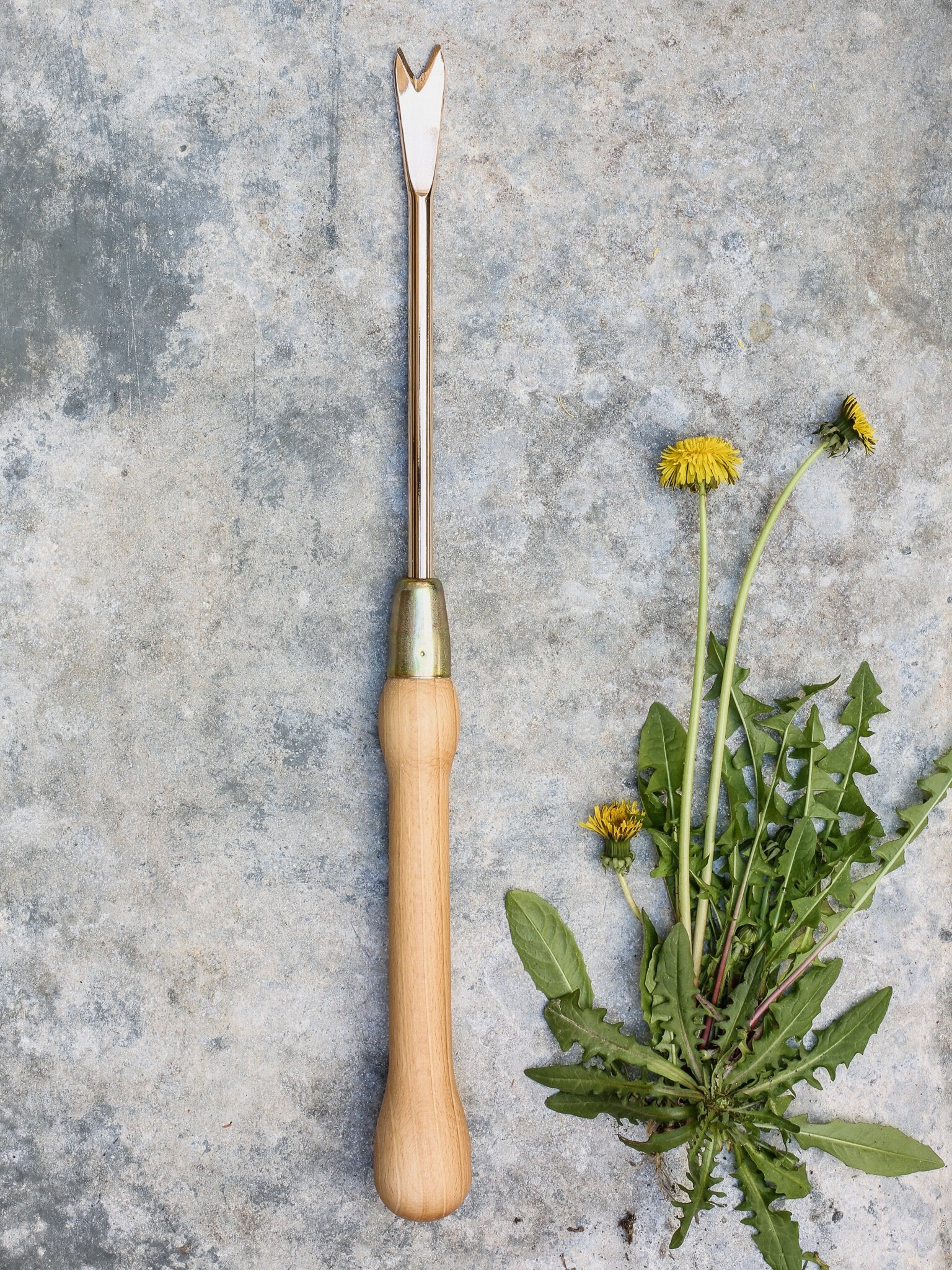 Copper Dandelion Weeder