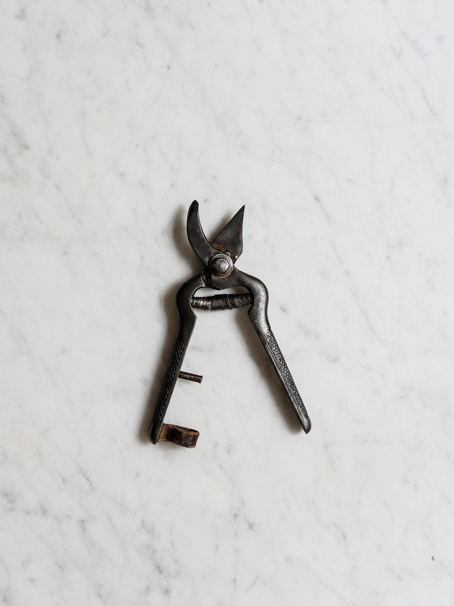 Vintage Secateurs