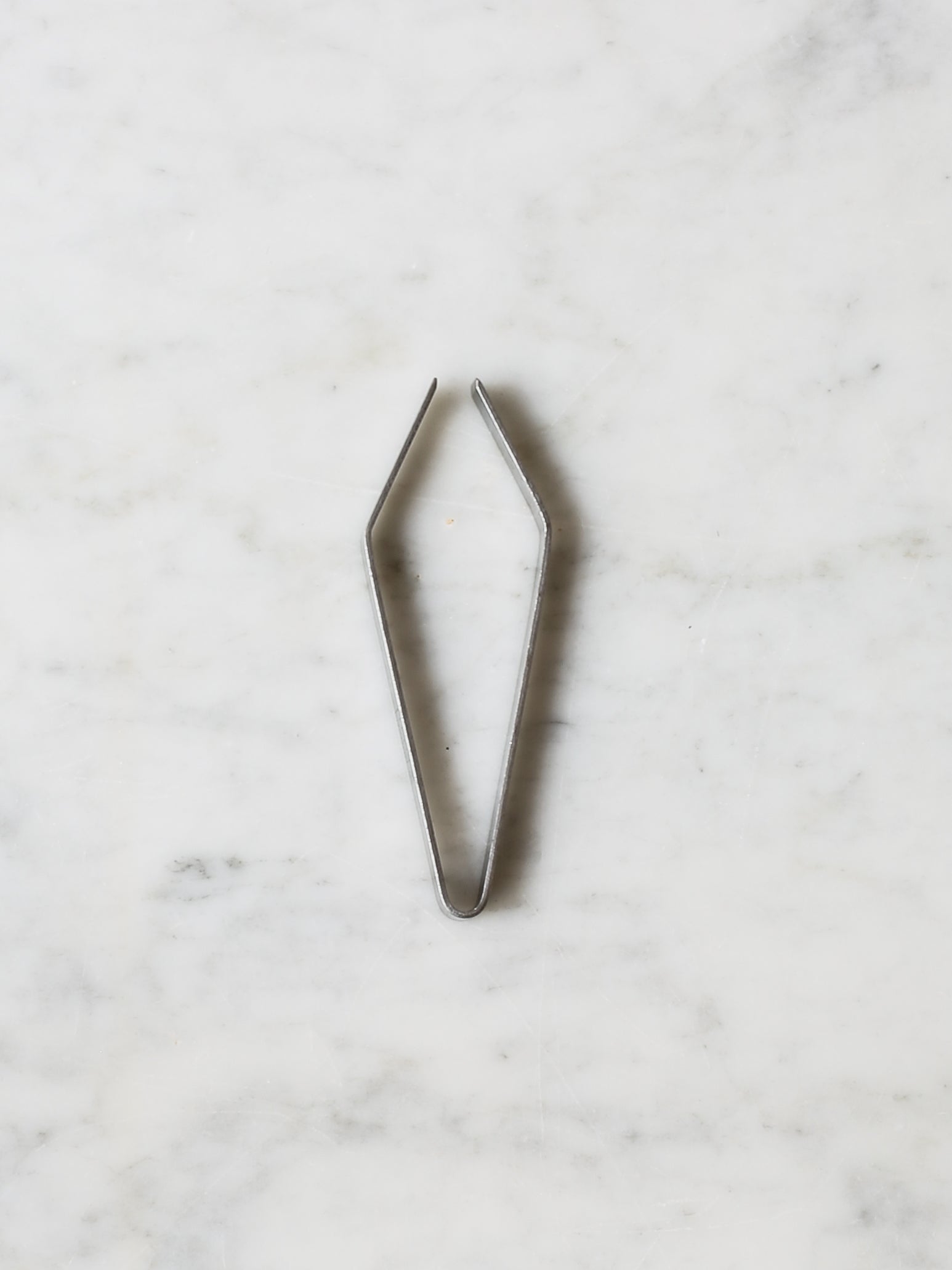 Fish Bone Tweezers